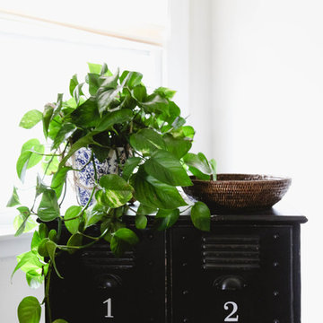 Our Houzz: Bright, Breezy Living Room Caps a Hectic Renovation