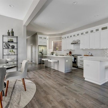 Chicago Home Remodel