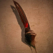 Oliver Chandler's photo