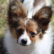 Ellen Migliore's photo