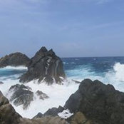 Carrie Lloyd's photo