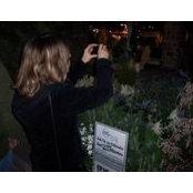 Teena Sno's photo