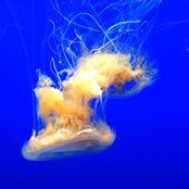 Nancy Legassicke's photo