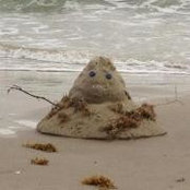Ross Bradfield's photo