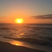 Dawn Thornton's photo