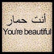 Foto von Alaa Issawi