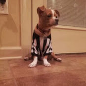 Marty Martin's photo
