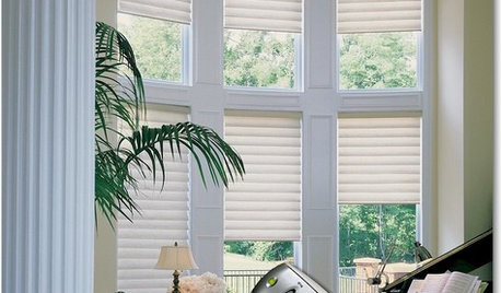 Small Luxuries: Motorized Window Coverings Offer Benefits to All