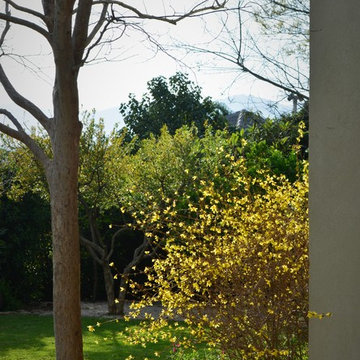 Rural Garden
