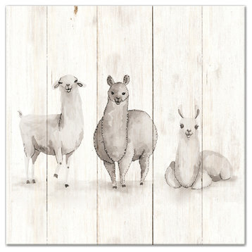 All The Llamas 12x12 Canvas Wall Art