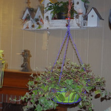 My small porches