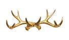 Faux Antler Wall Decor, Gold