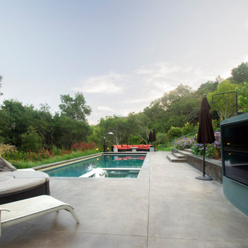 Mill Valley Hillside Landscaping