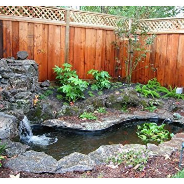 From Overgrown to Garden Zen