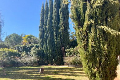 Imagen de jardín rústico de tamaño medio con privacidad, exposición parcial al sol y con madera