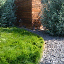 Landscape Ideas