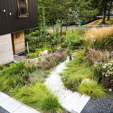 Full Plane Passive House