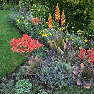 Agoura Hills Yardscape