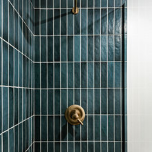 Basement Bathroom