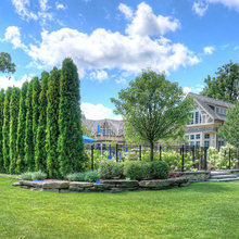 Front Lawn Landscape