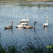 Sandie Cecchini's photo