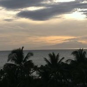 Ted Roche's photo