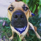 Robyn Boudreaux's photo