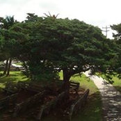 Bell Hartnack's photo