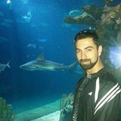 Mohanad Alkurdi's photo