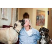 Alan Shelton's photo
