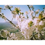 Cristina Costa's photo