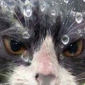 Kat Toth-Hinton's photo
