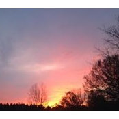 Amy Randolph's photo