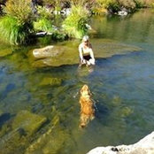 Janet Hulsing's photo