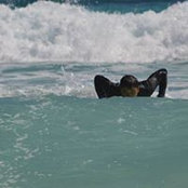 Andrei Dristaru's photo