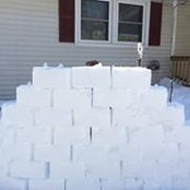 David Lucas's photo