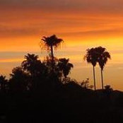 Nancy Baier's photo