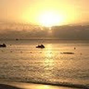 Chuck Sarosi's photo