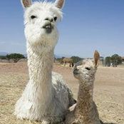 Claudia Bottler's photo