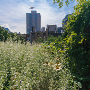ROOM TO BREATHE IN BROOKLYN