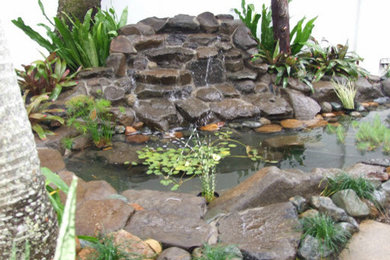This is an example of a modern garden in Sunshine Coast with a water feature.