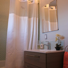 downstairs bath ideas