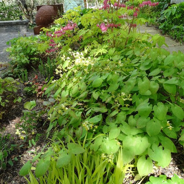 Shade garden