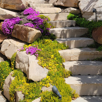 Luxe Landscape Maintenance