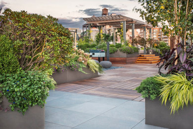 Photo of a landscaping in New York.