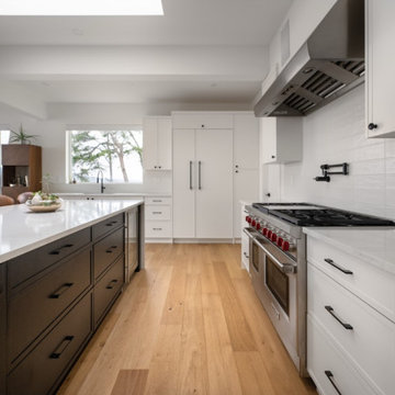 Mid-Century Renovation