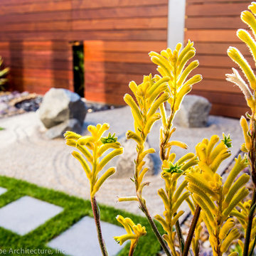 Modern Zen Garden Backyard