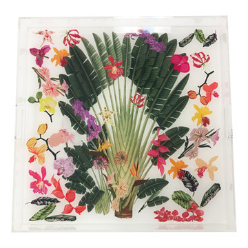 Acrylic Trays