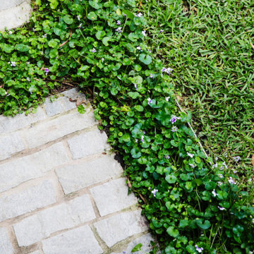 Backyard Transformation in Sherman Oaks - Pool, Kitchen Area & Paving