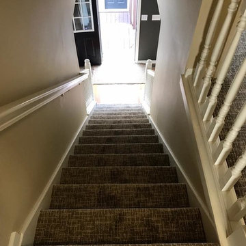 Tuftex Carpet
